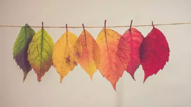 每一分善意都值得呵护